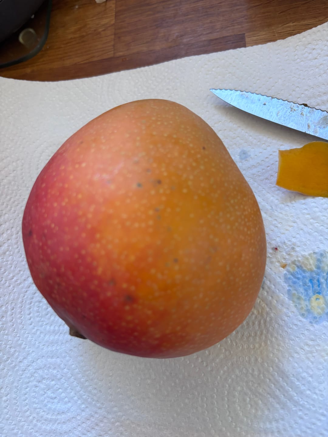 Customer photo review of Mango Kent Premium Bio von Karina baumgereift
