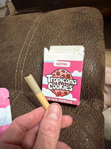 Tropicana Cookies - Pack of Pre-Rolls (10 Pack) - Sativa photo review