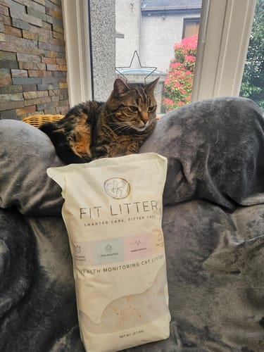 Customer photo review of 3 month supply - 6 Cats