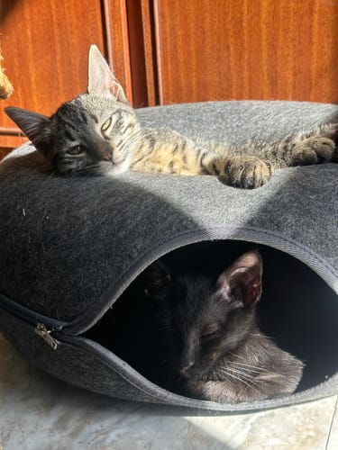 Customer photo review of Cueva Dona