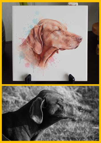 Customer photo review of Tegel met Gepersonaliseerd Huisdier Portret in Aquarelstijl