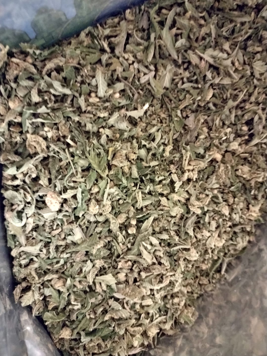 Customer photo review of Lemon Haze Indoor THCA Trim