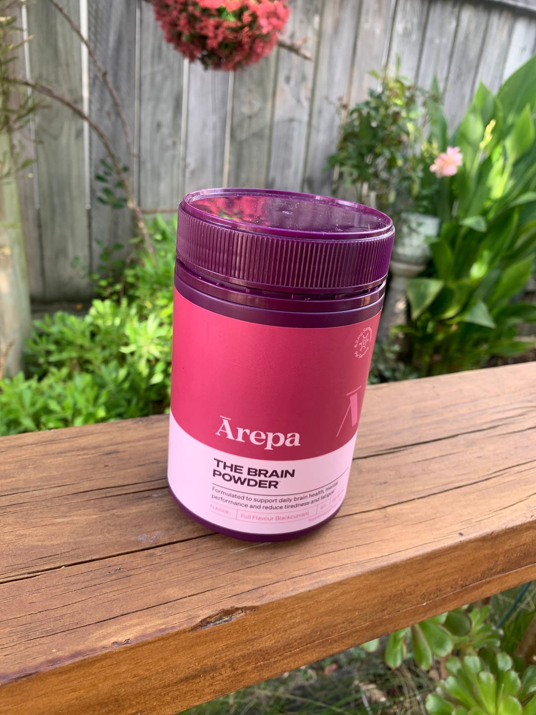 Customer photo review of The Brain Powder⁺ 2.0