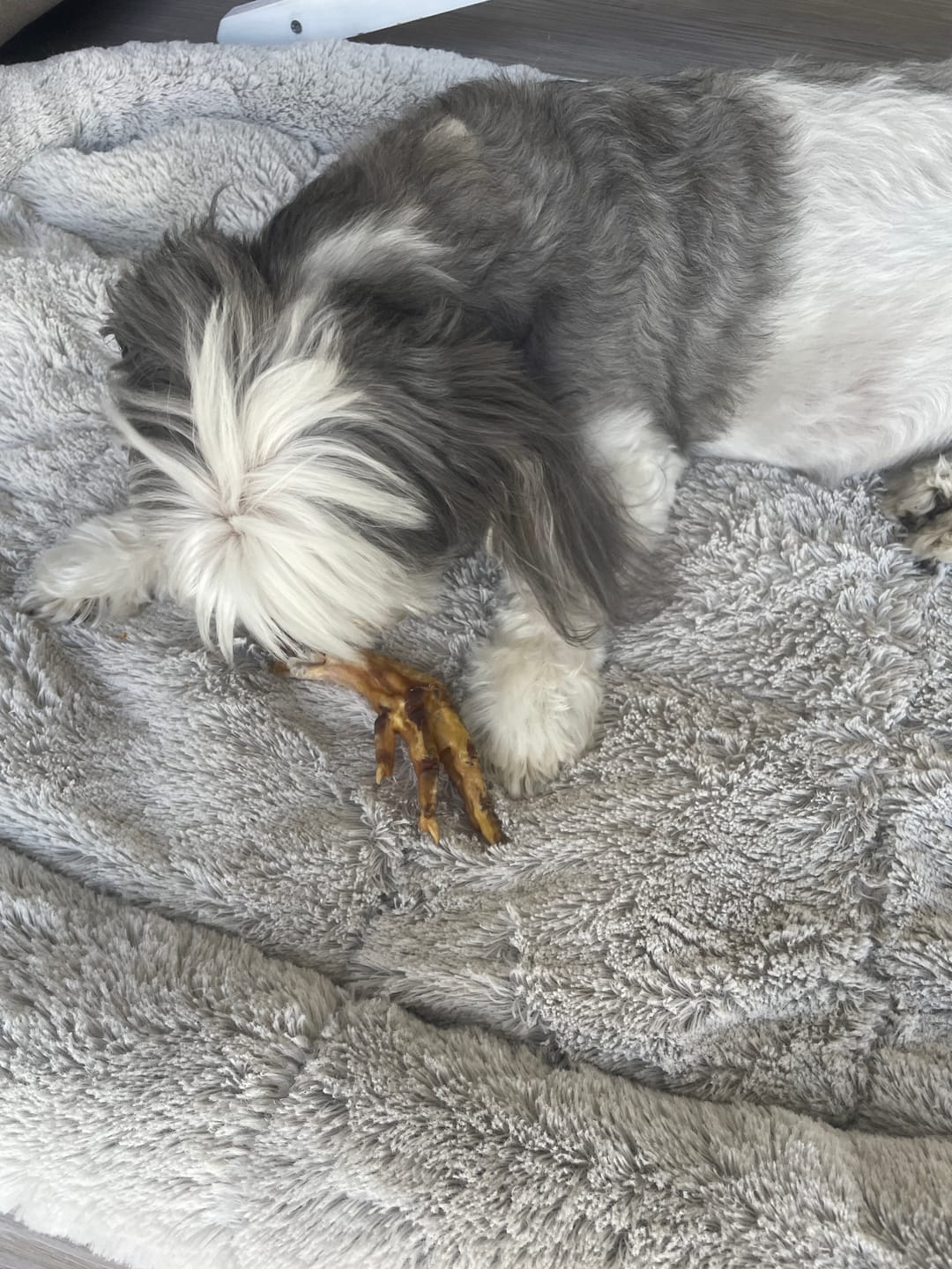 Customer photo review of Chicken Feet