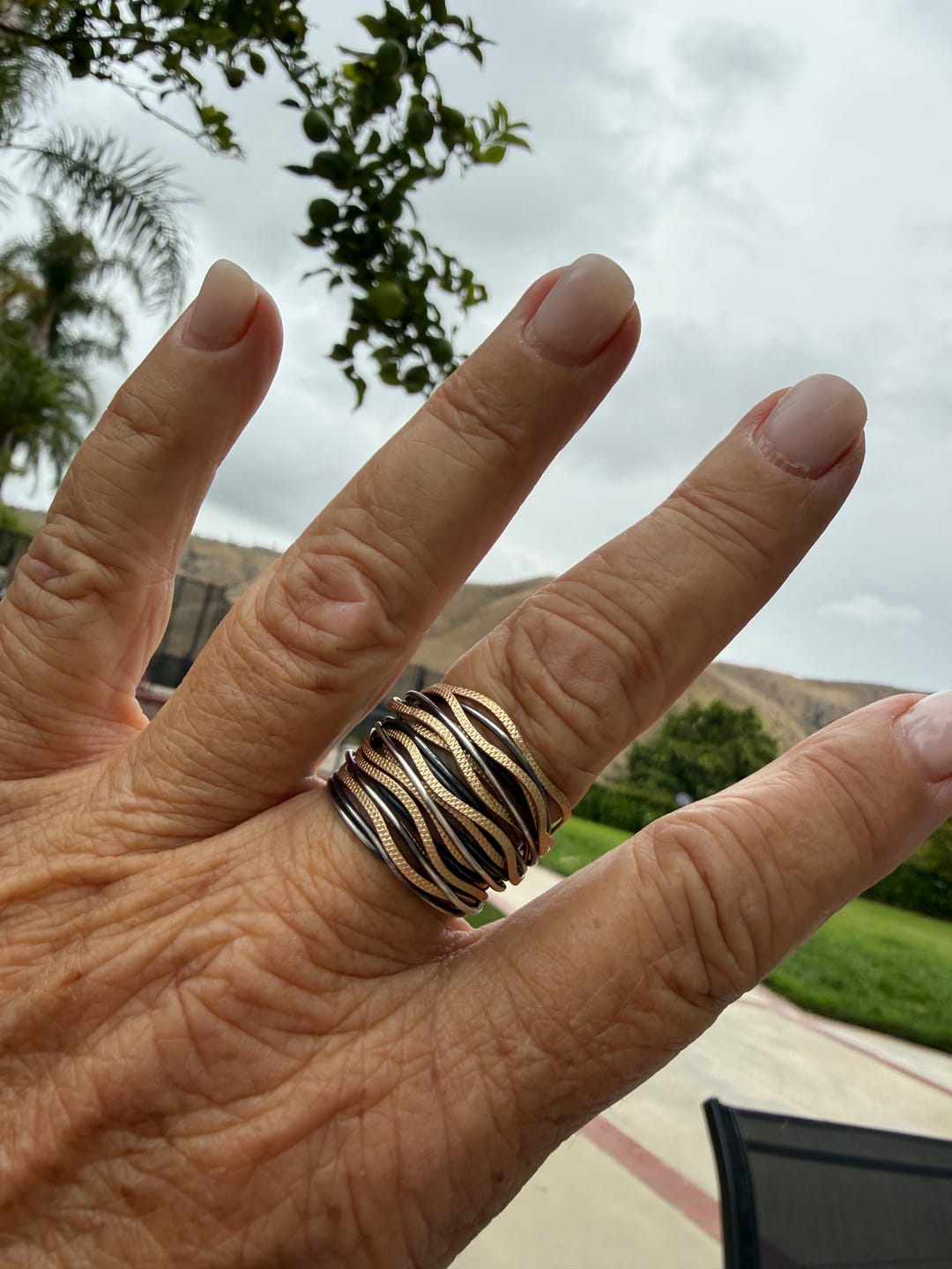 Customer photo review of Spirali Gold & Silver Safari Ring