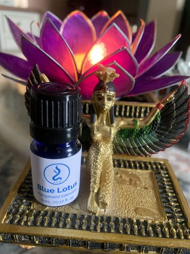 Customer photo review of True Egyptian Blue Lotus Oil 5 mL | Cold-Pressed