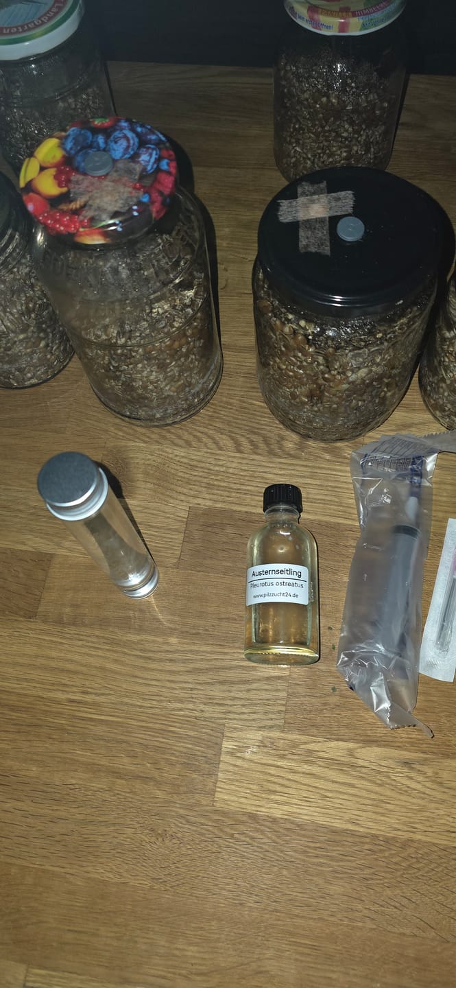 Customer photo review of Austernseitling | Pleurotus ostreatus Flüssigmyzel