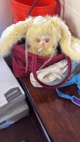 Customer photo review of Yooki Bunny's Floral Fragments 400% Series Plush Blind Box