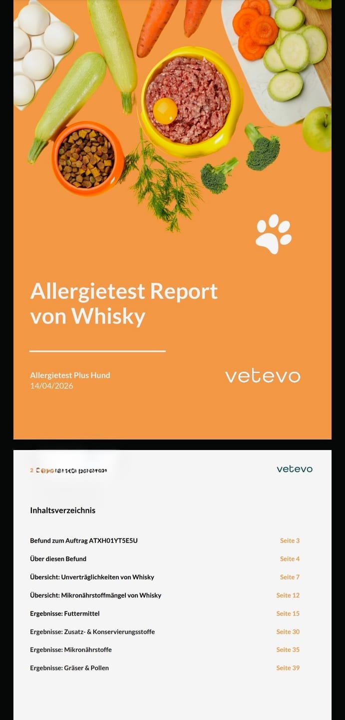 Customer photo review of Allergietest Plus Hund
