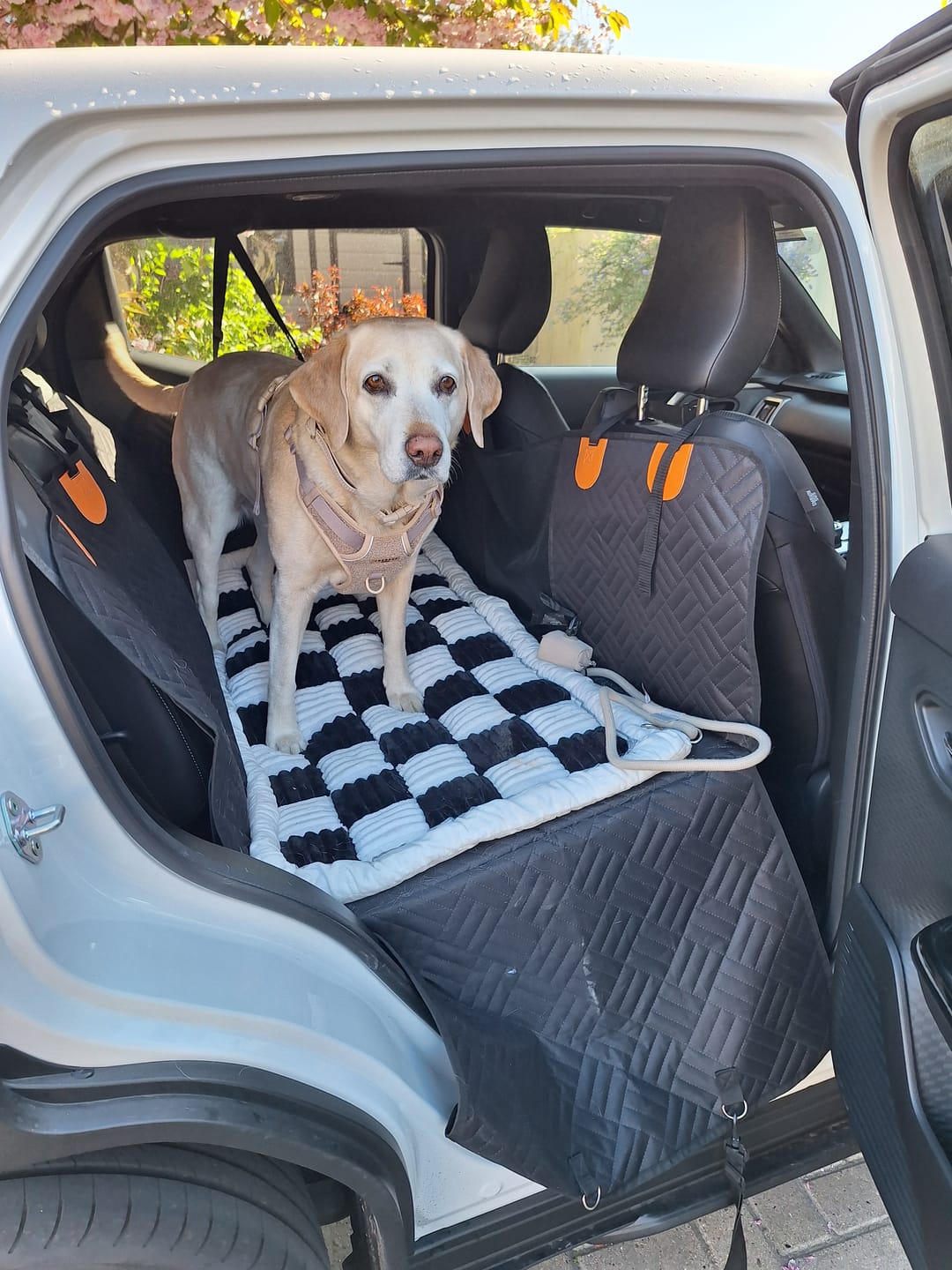 Customer photo review of The Guardian - Dog Seat Cover
