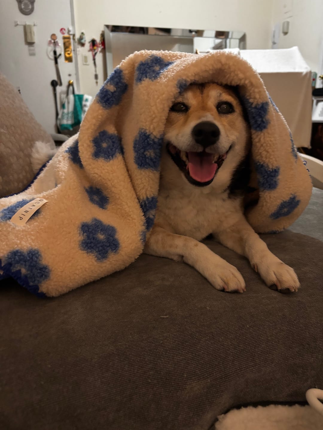 Customer photo review of Little Summer Blanket