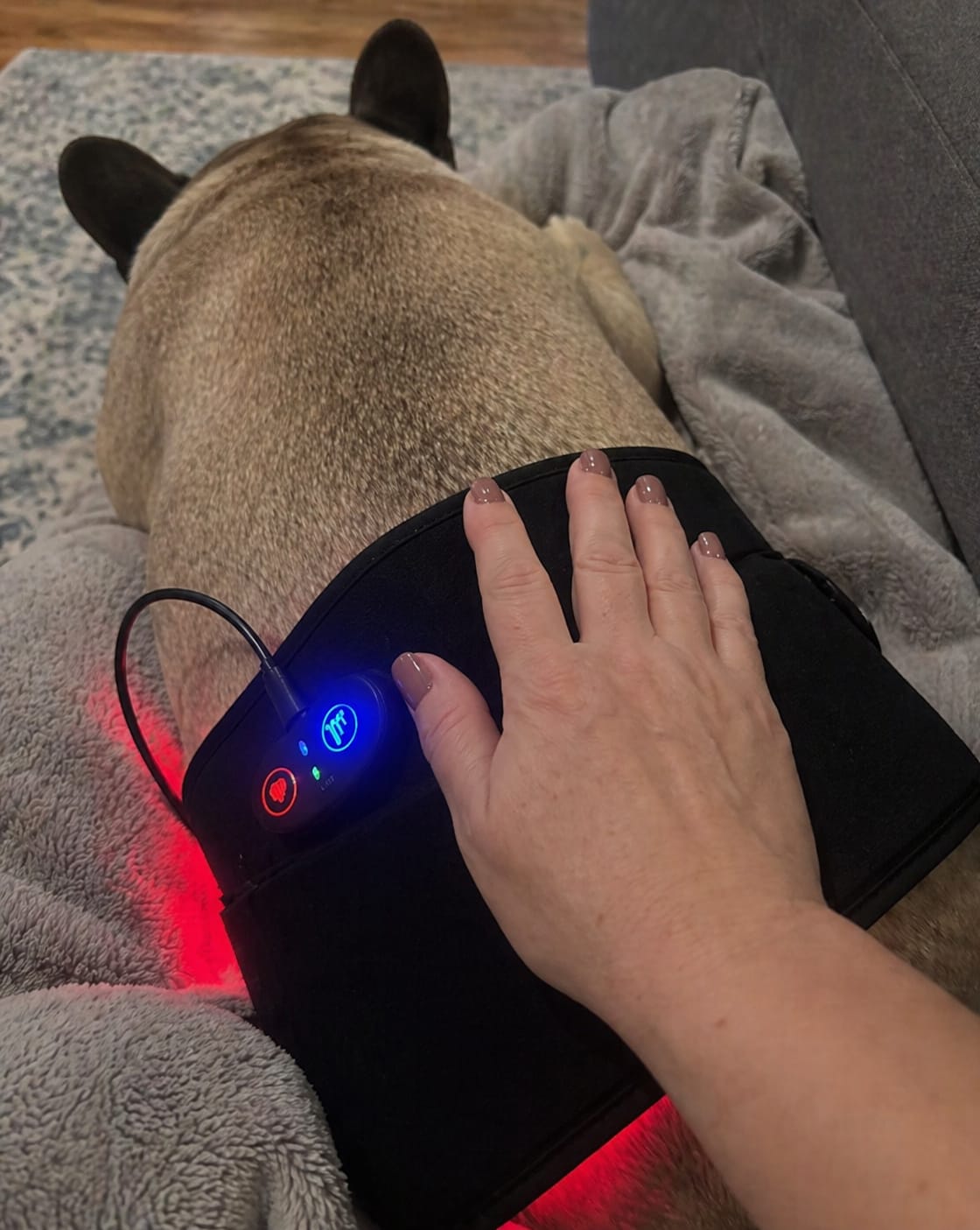Customer photo review of RedPaw Red Light Therapy