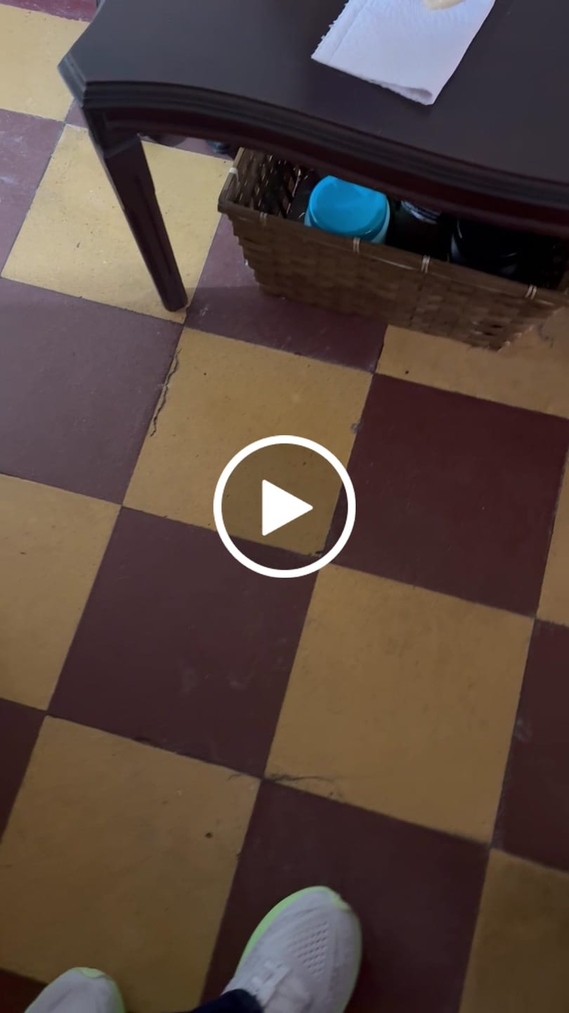 Customer video review of New Balance FuelCell SuperComp Trainer v3 Mujer Mint Flash Grey Matter