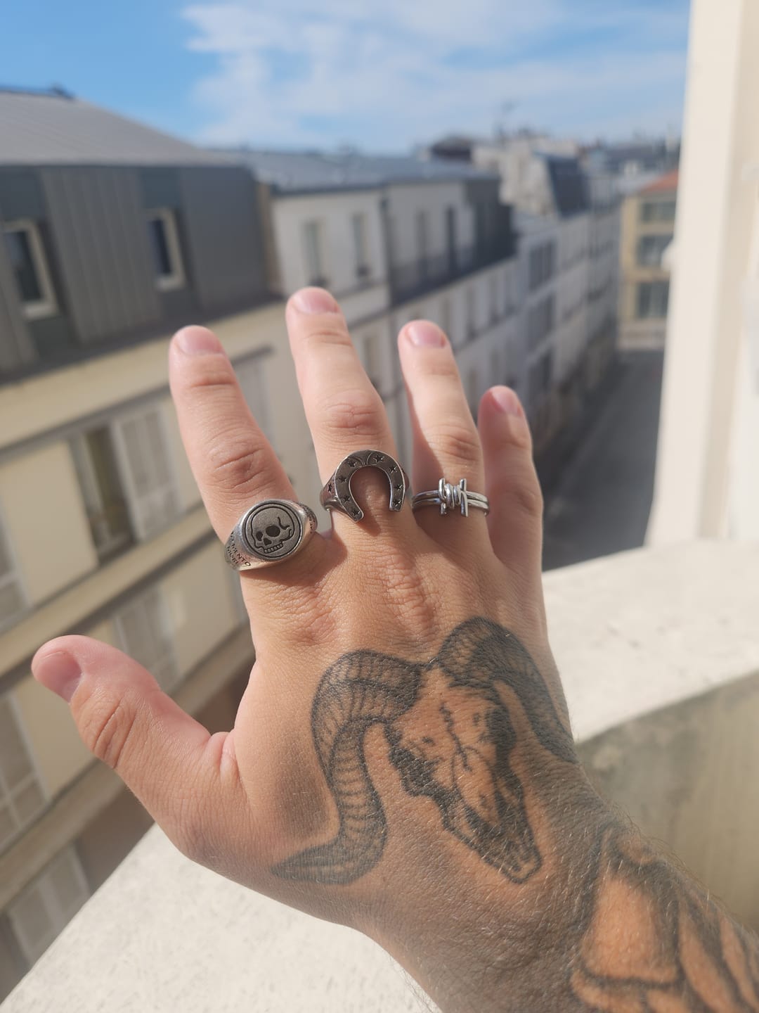 Customer photo review of Horse Shoe Ring