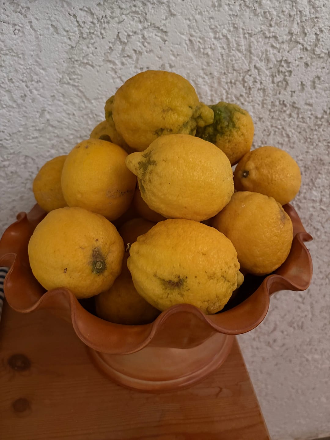 Customer photo review of Zitronen Bio Familie Bilardi Kalabrien 4kg Box Sparpreis %