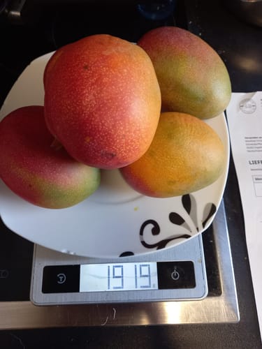 Kunde wiegt vier Kent-Mangos auf einem Teller, der auf einer Waage steht, die 1919 anzeigt.