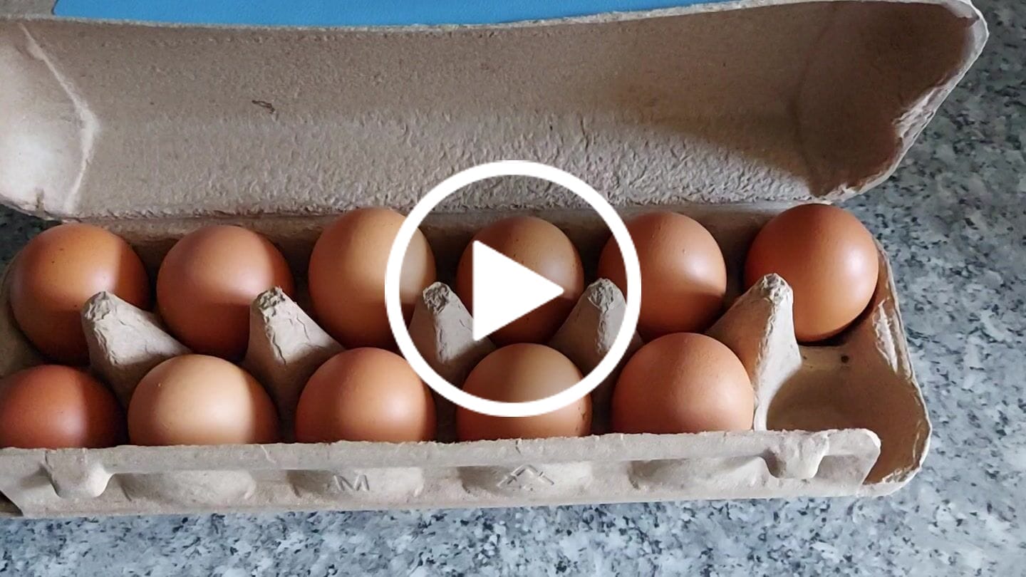 Customer video review of Huevos de campo