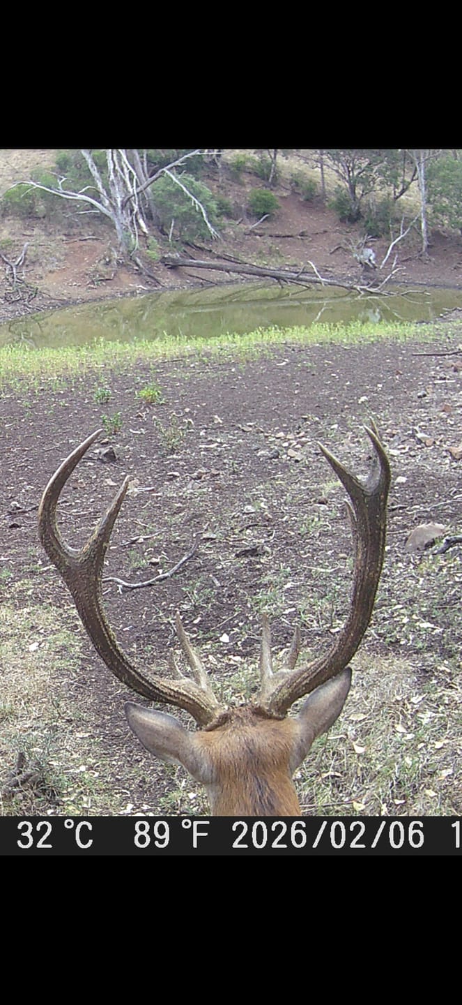 Customer photo review of GardePro A60 Non-Cellular Trail Camera