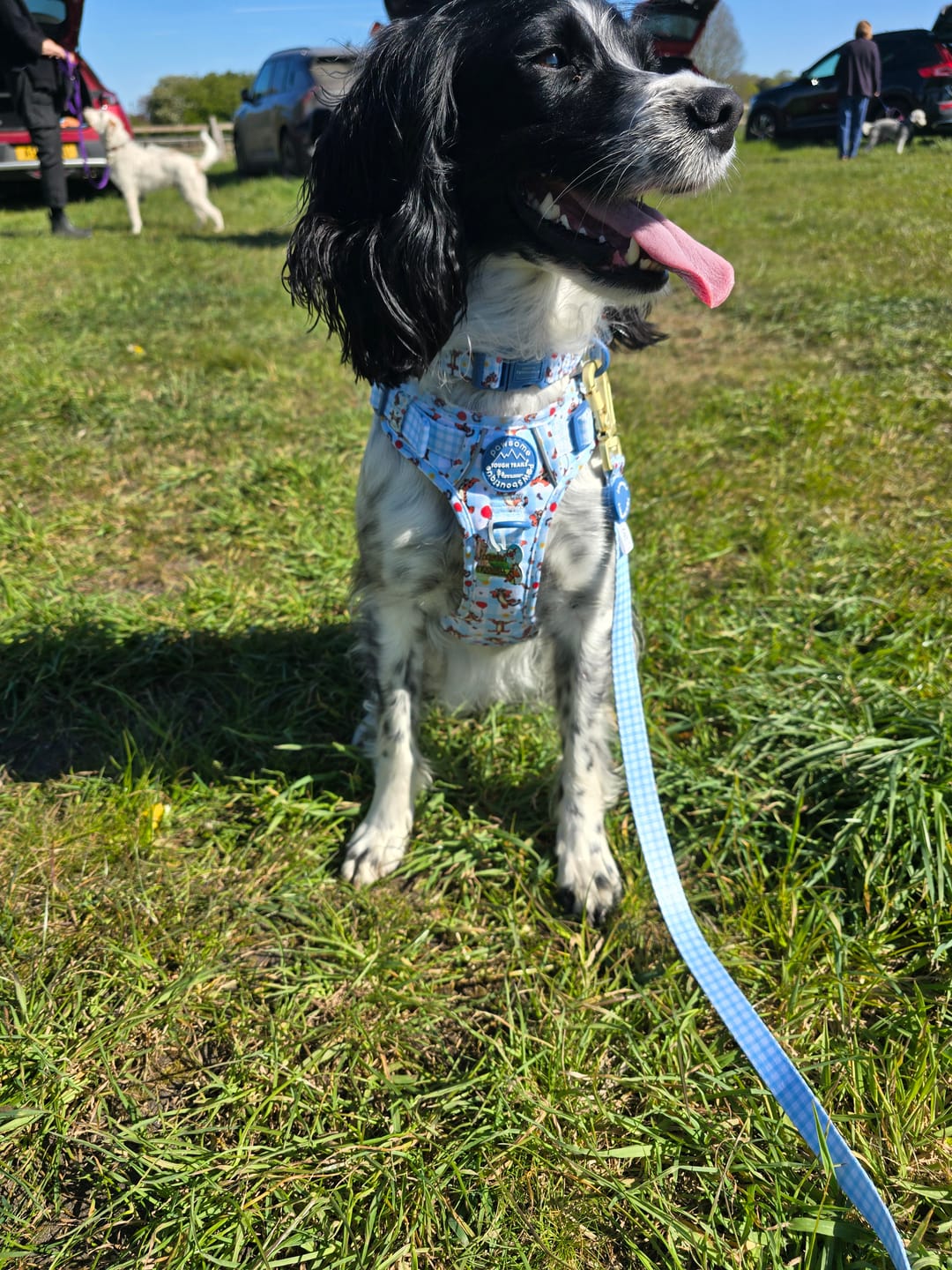 Customer photo review of Disney© Tough Trails™ Harness - Tigger