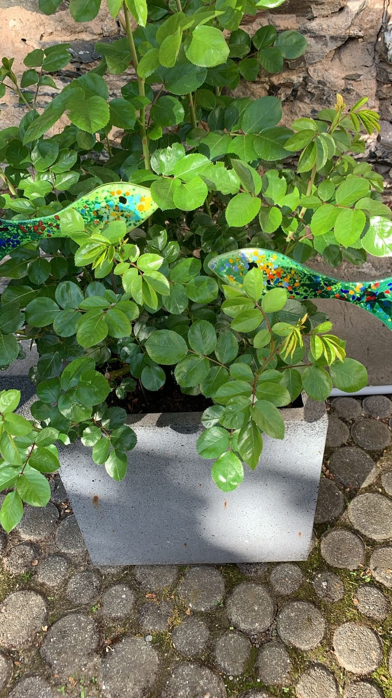 Customer photo review of Gartenstecker Blumenstern