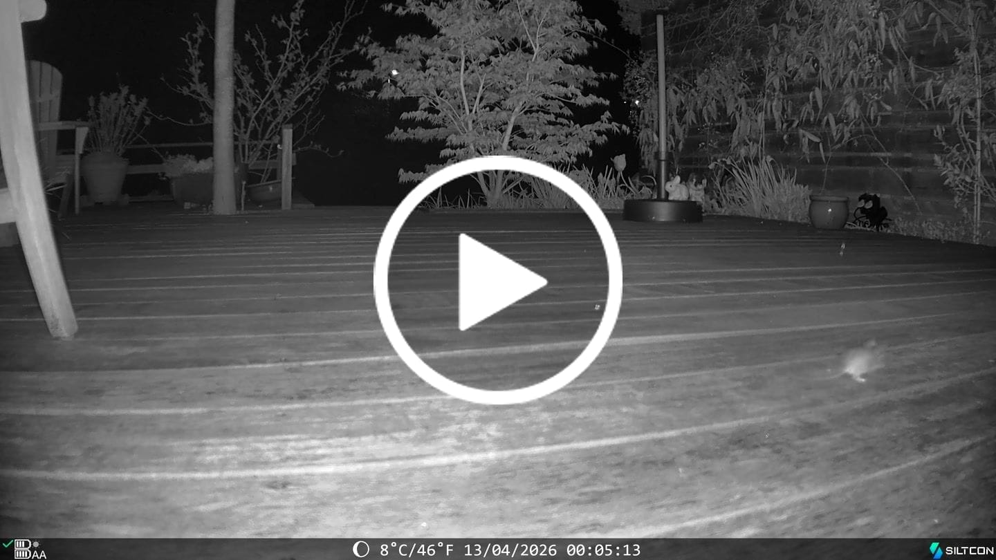 Customer video review of Siltcon® Wildcamera met Zonnepaneel 8K