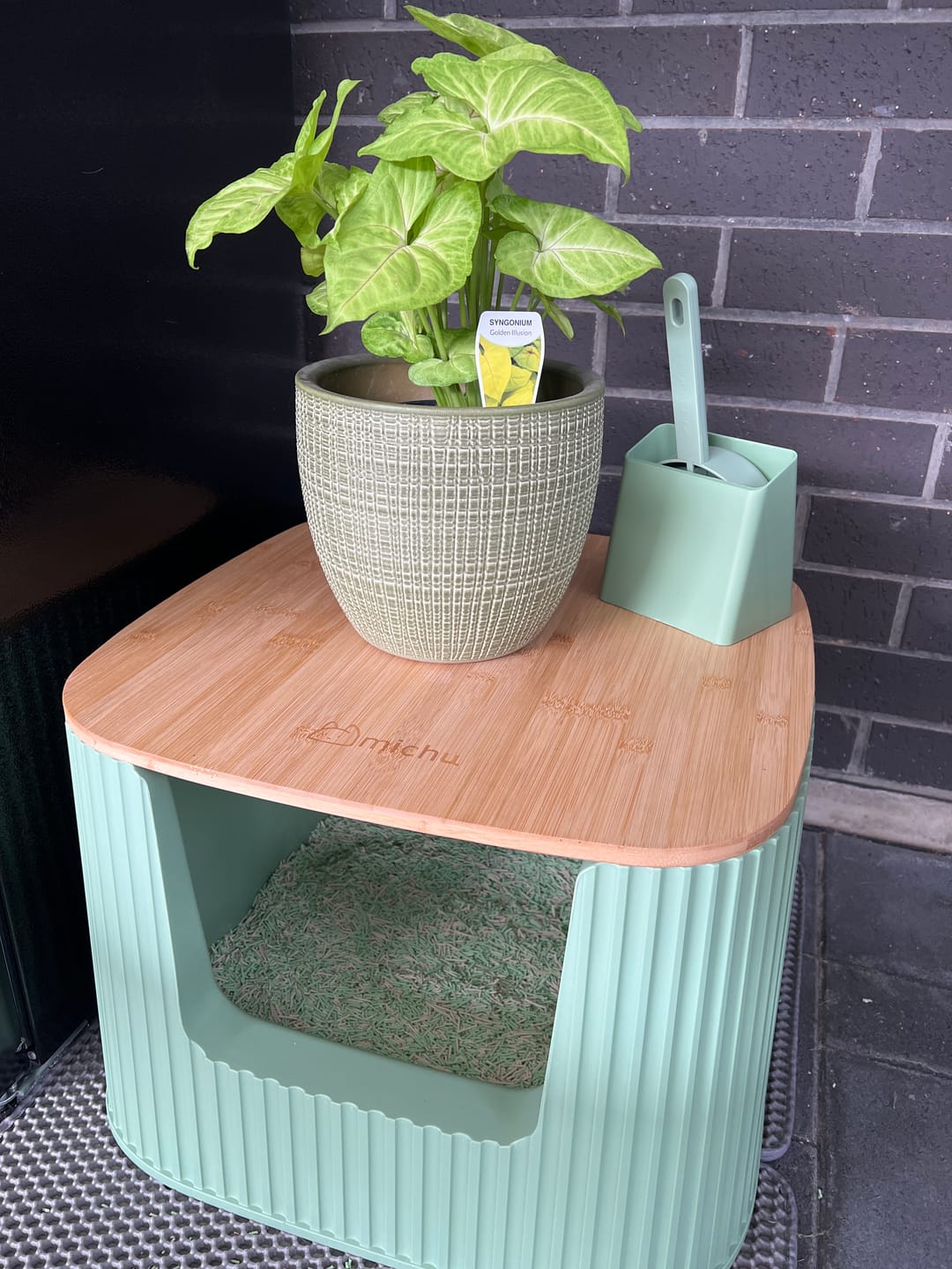 Customer photo review of Michu XXL Sage Deluxe Cat Litter Box - Spacious Design