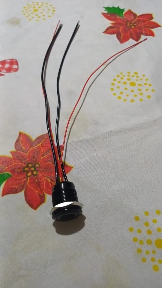 Customer photo review of 19mm 20A Push Button Switch - IP66 Waterproof Metal LED Light