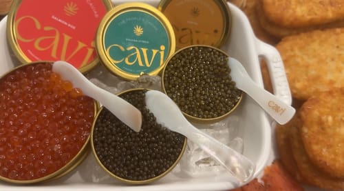 Reviewer's caviar tasting featuring dark Osetra Caviar and bright salmon roe in tins on ice.