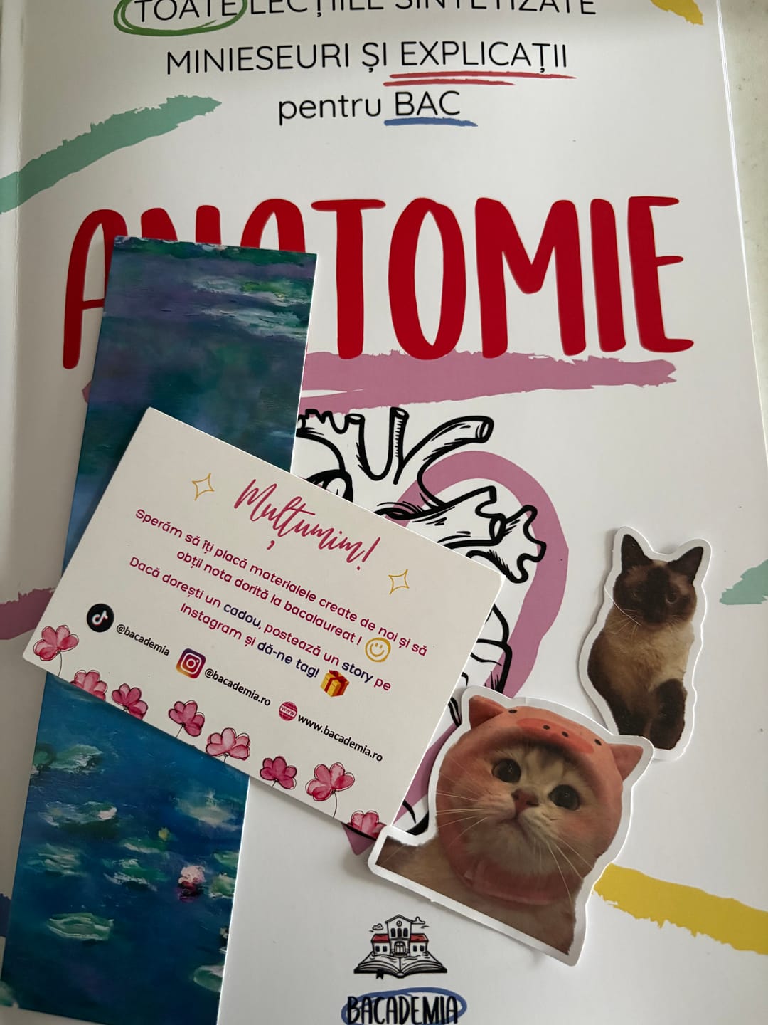 Customer photo review of Carte Anatomie Bacalaureat (Biologie clasele XI-XII) Bacademia