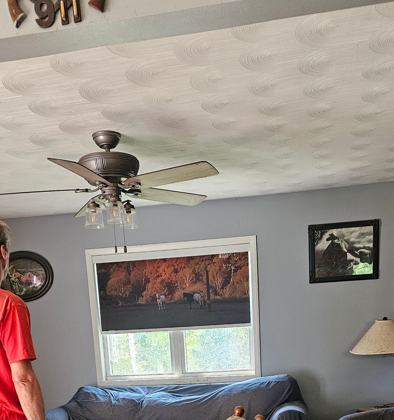 Customer photo review of Custom Printed Roller Shades