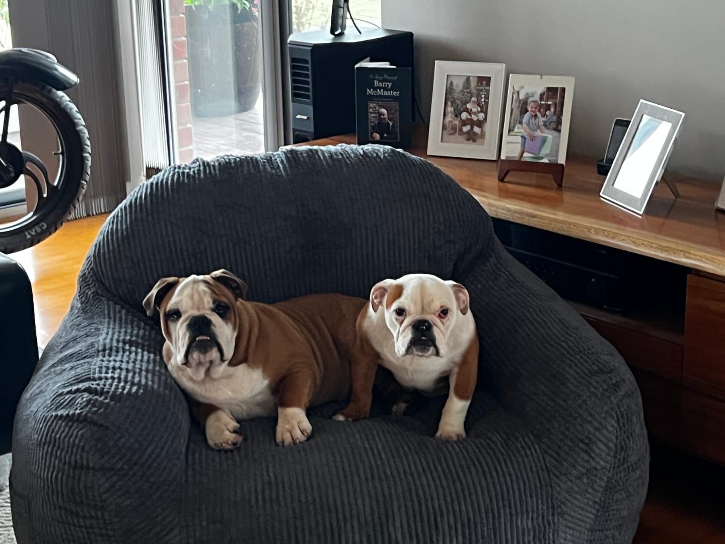 Customer photo review of Luxury Foam Relax Chair
