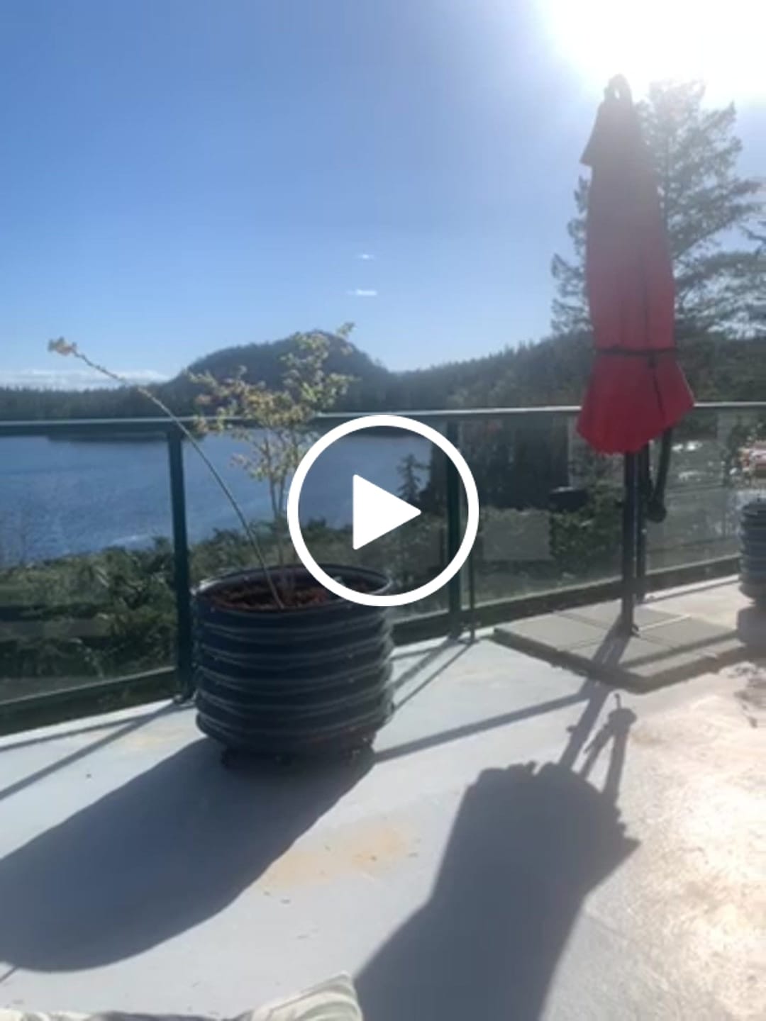 Customer video review of 17" Tall Rolling Planter