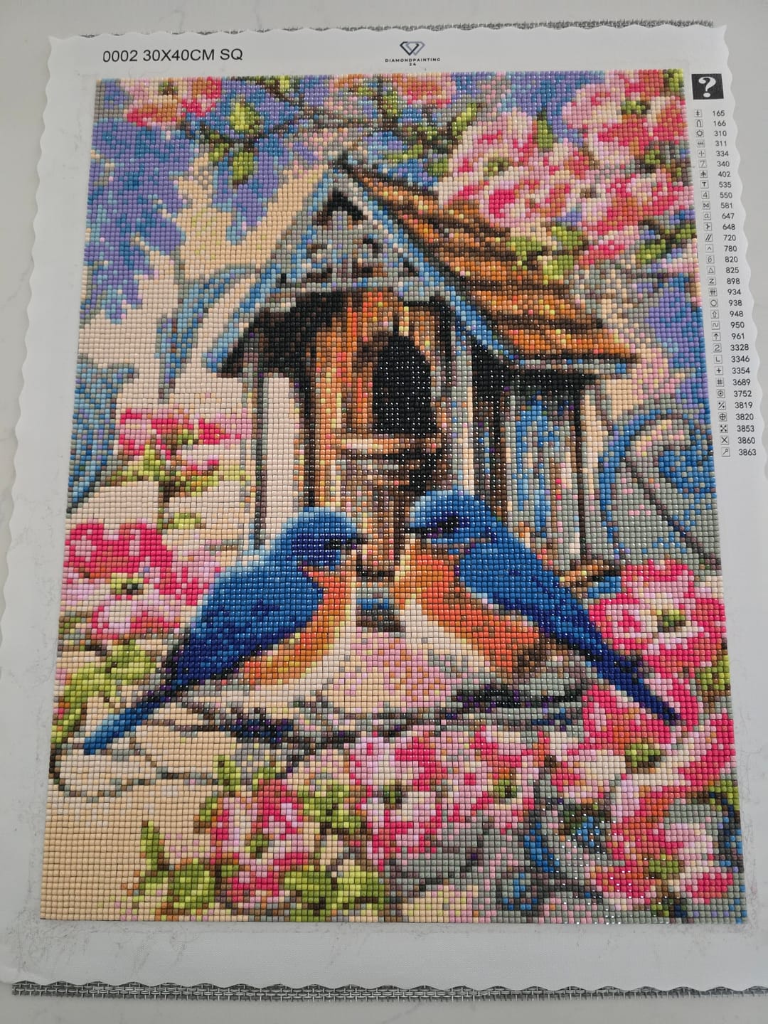 Customer photo review of Diamond Painting - Surprise Picture