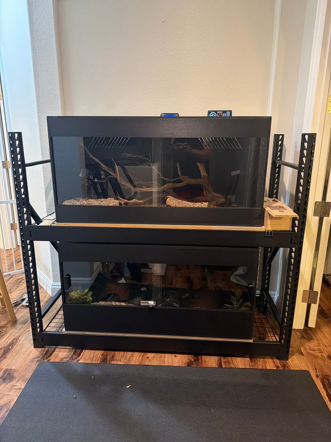 Customer photo review of 48"x24"x24" / 4'x2'x2' Premium PVC Reptile Enclosure