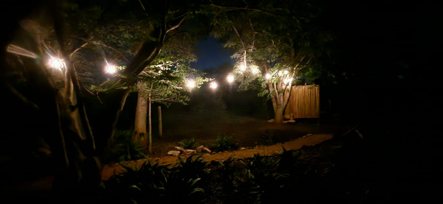 Customer photo review of Solar Festoon Bulb String Lights