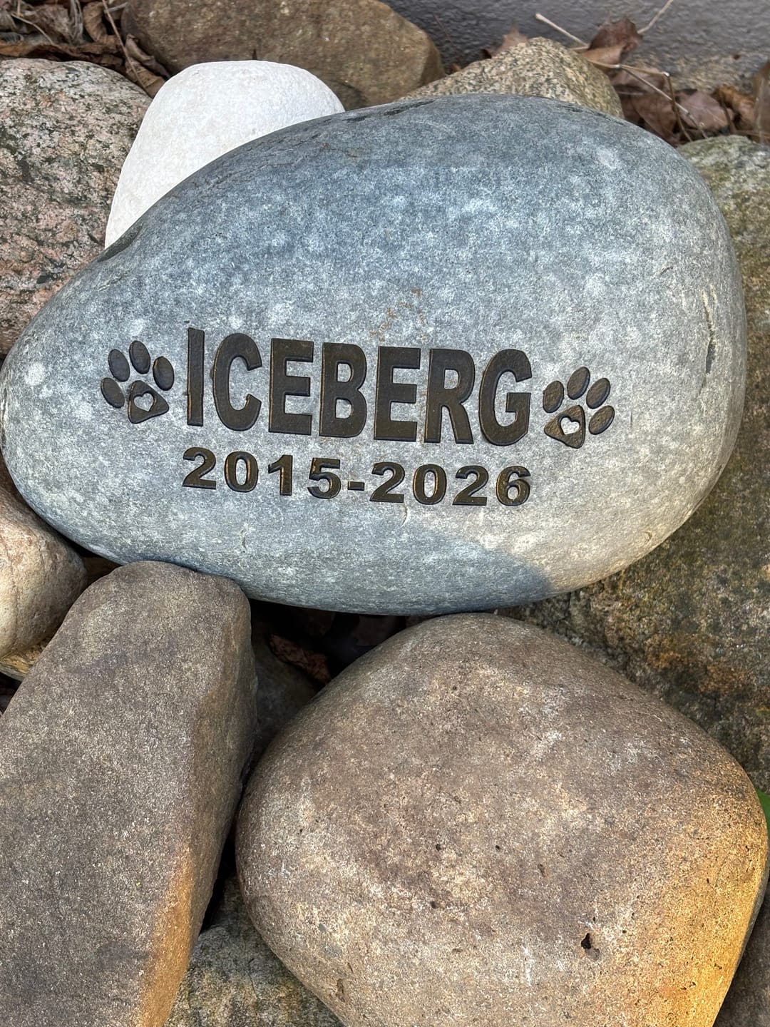 Customer photo review of Pet Grave Marker   Custom Engraved Pet Memorial Stone Paw Prints