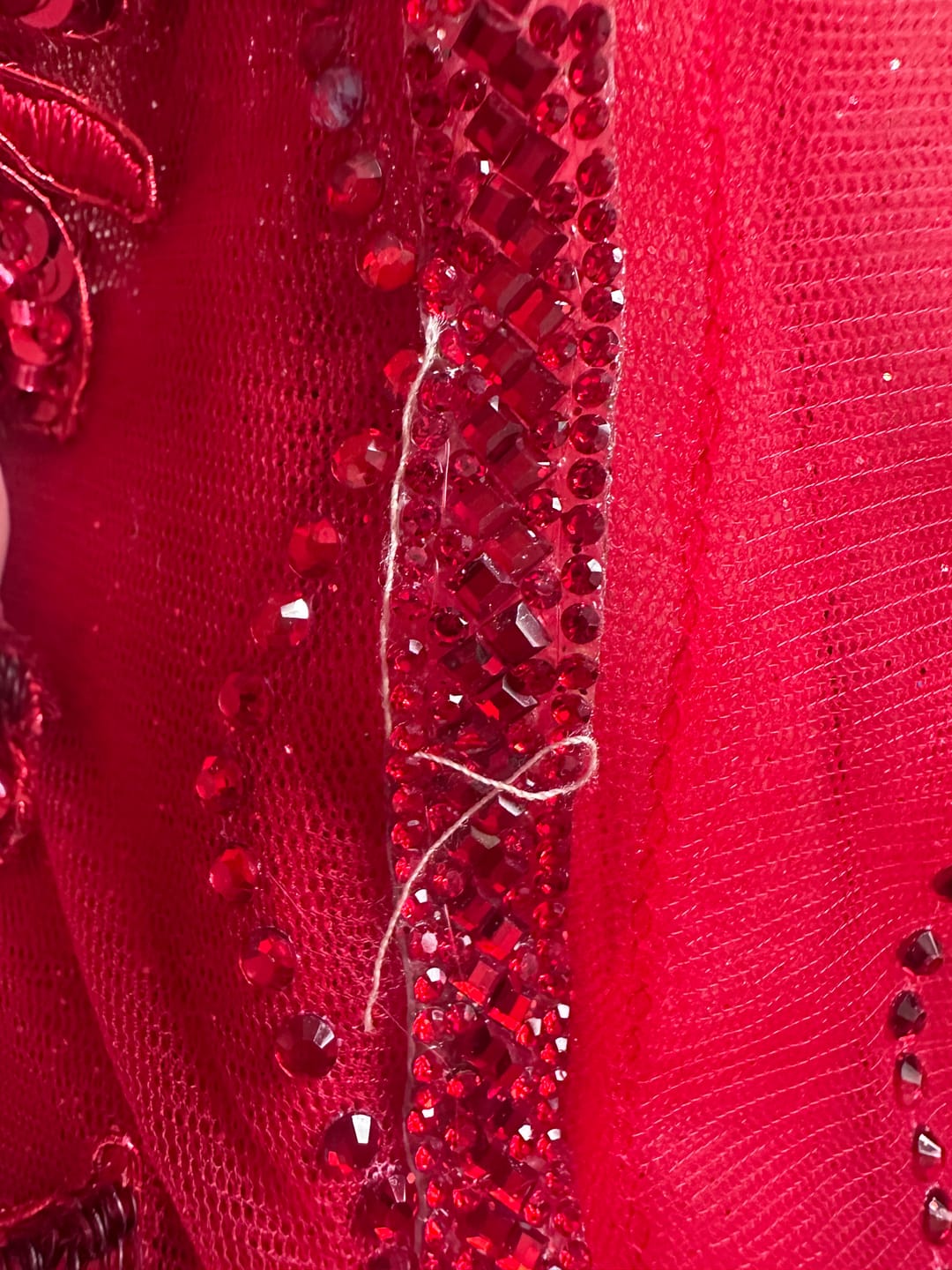 Customer photo review of Ladivine CC0389 Dress Lace Embellished Fitted Gown
