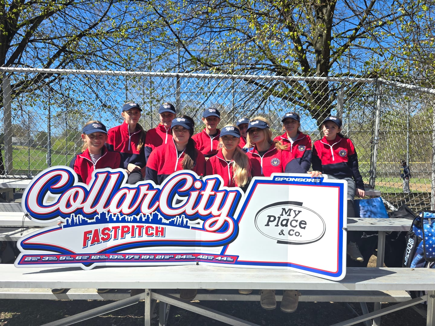 Customer photo review of Dugout Signs