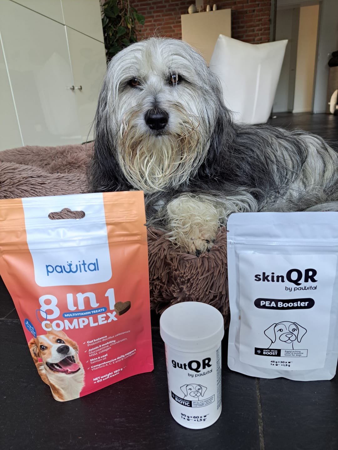 Customer photo review of gutQR Anti-Itch Welcome