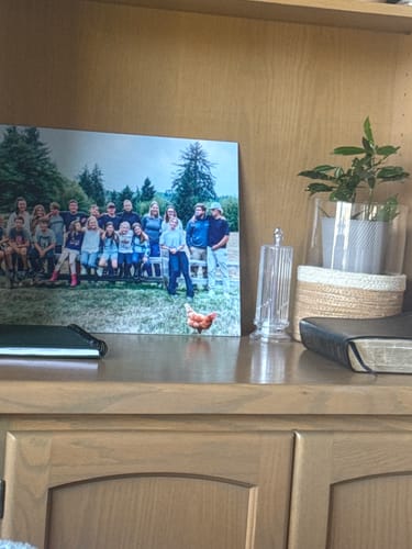 Customer photo review of Photo Upload - Metal Print