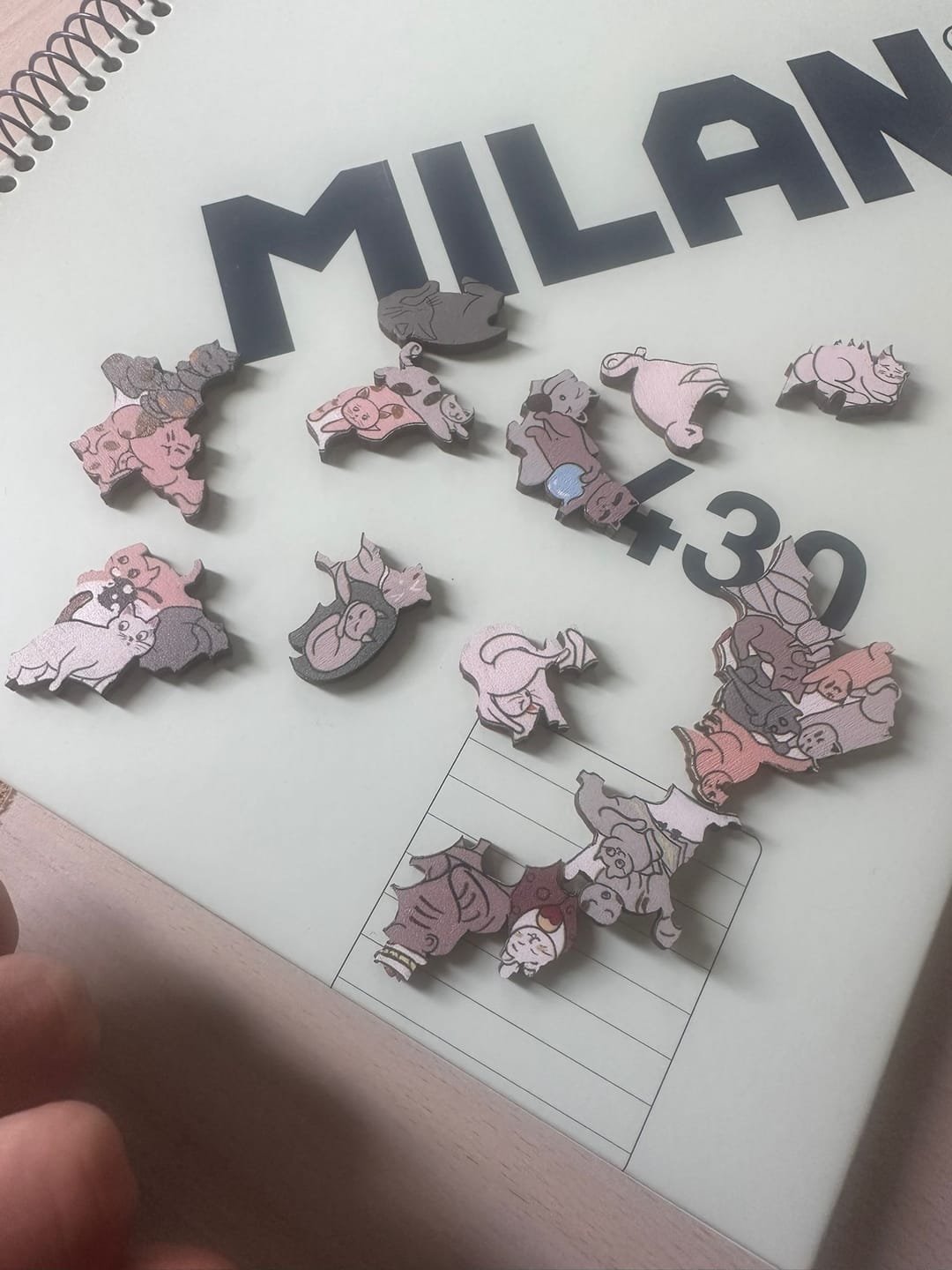 Customer photo review of Puzzle Mil Gatos