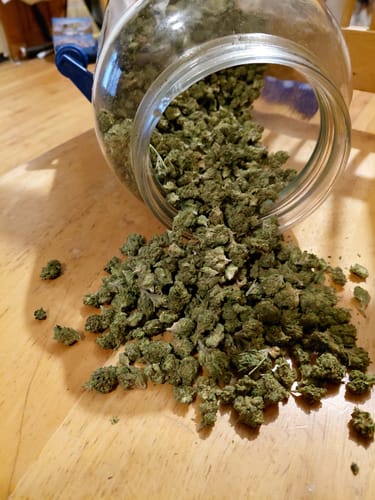 Customer photo review of Bulk THCA Smalls