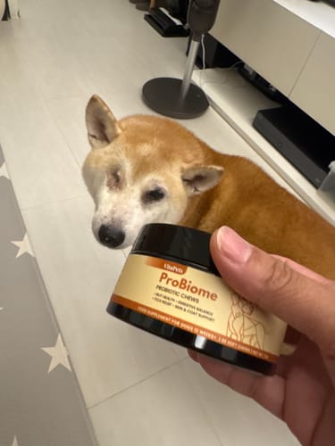 顧客對ProBiome™狗狗益生菌軟粒的照片評價