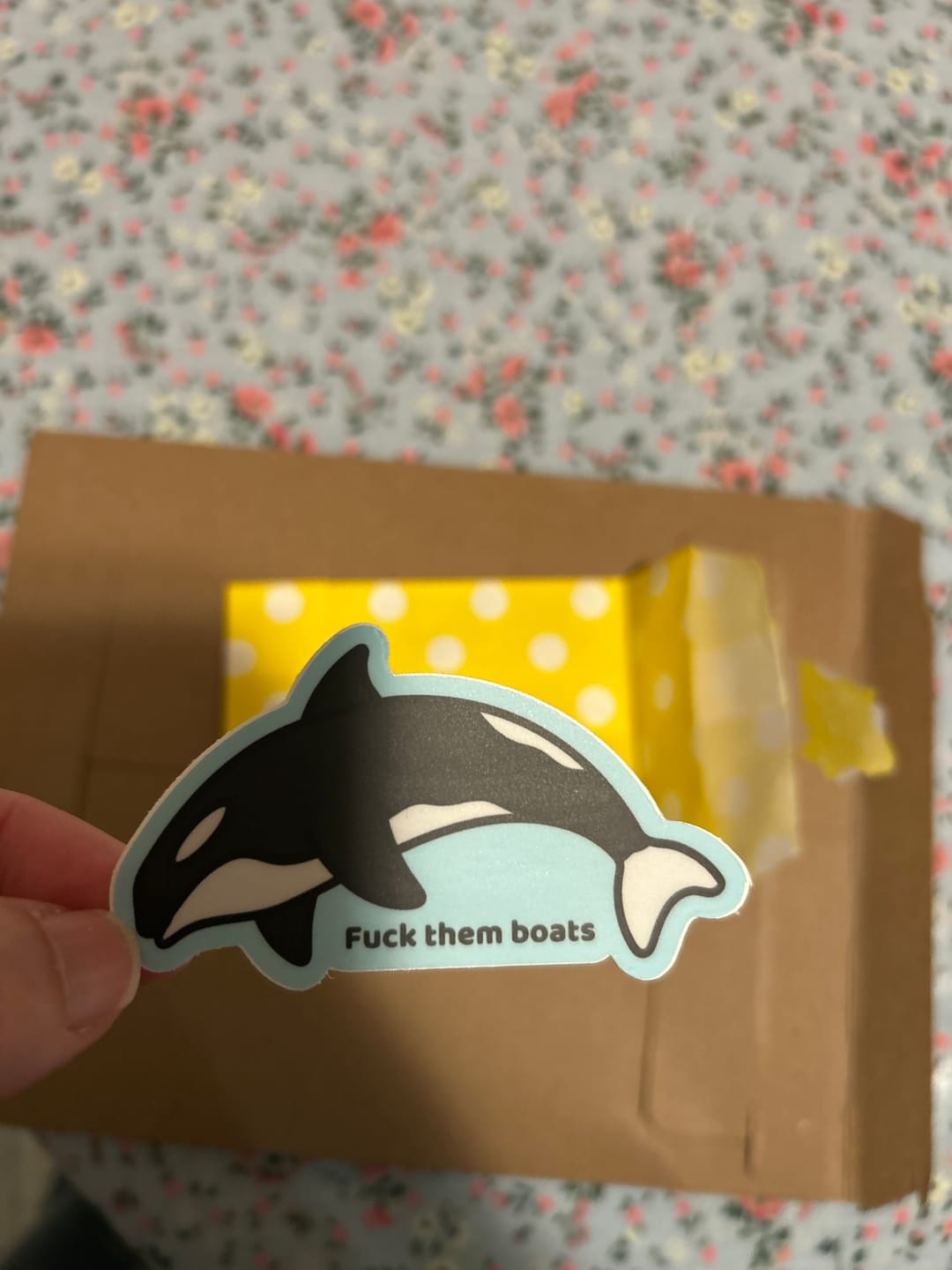 Customer photo review of F*ck Them Boats Orca Sticker