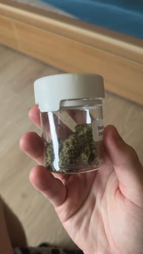 Customer holds a small, clear jar of Biscotti Mintz, showing the dense buds inside.