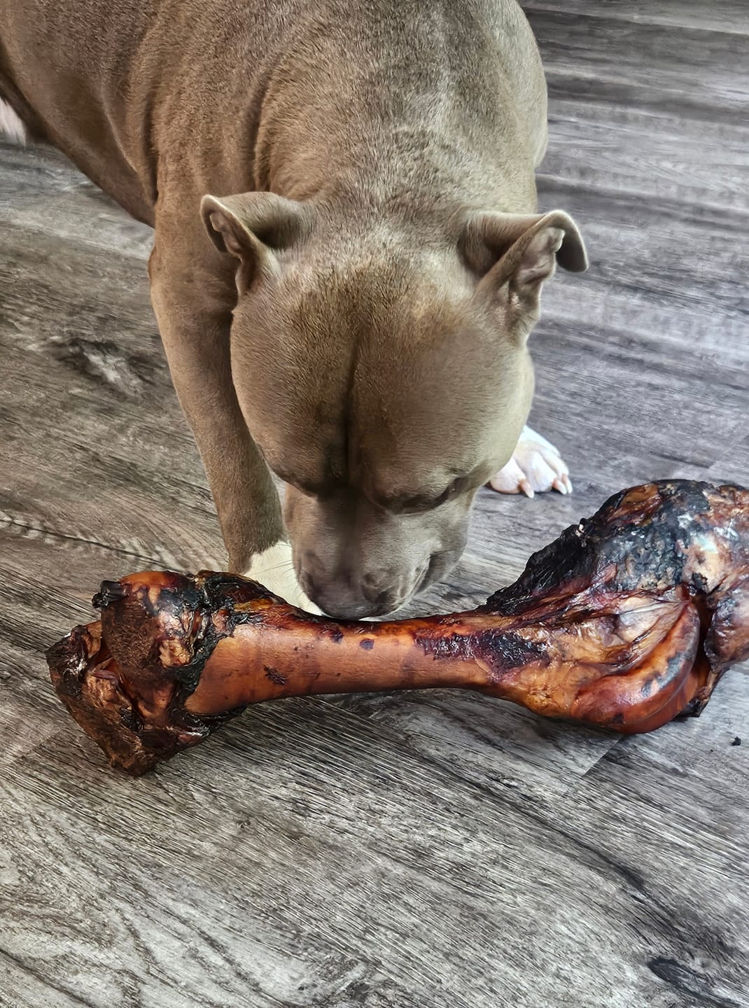 Customer photo review of Smoked Dinosaur Bones