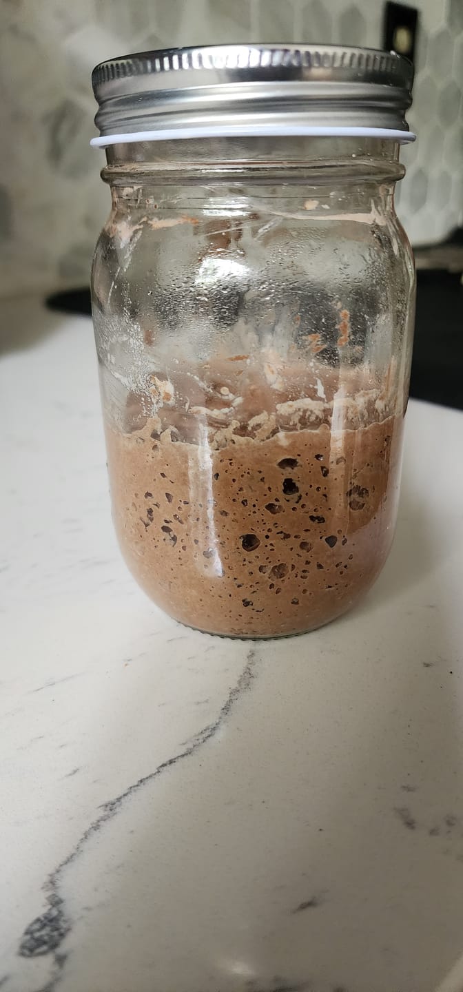 Customer photo review of Live 119 Year Old Valrhona CHOCOLATE Sourdough Starter Includes Maintenance PDF & Chocolate Noir Loaf Recipe