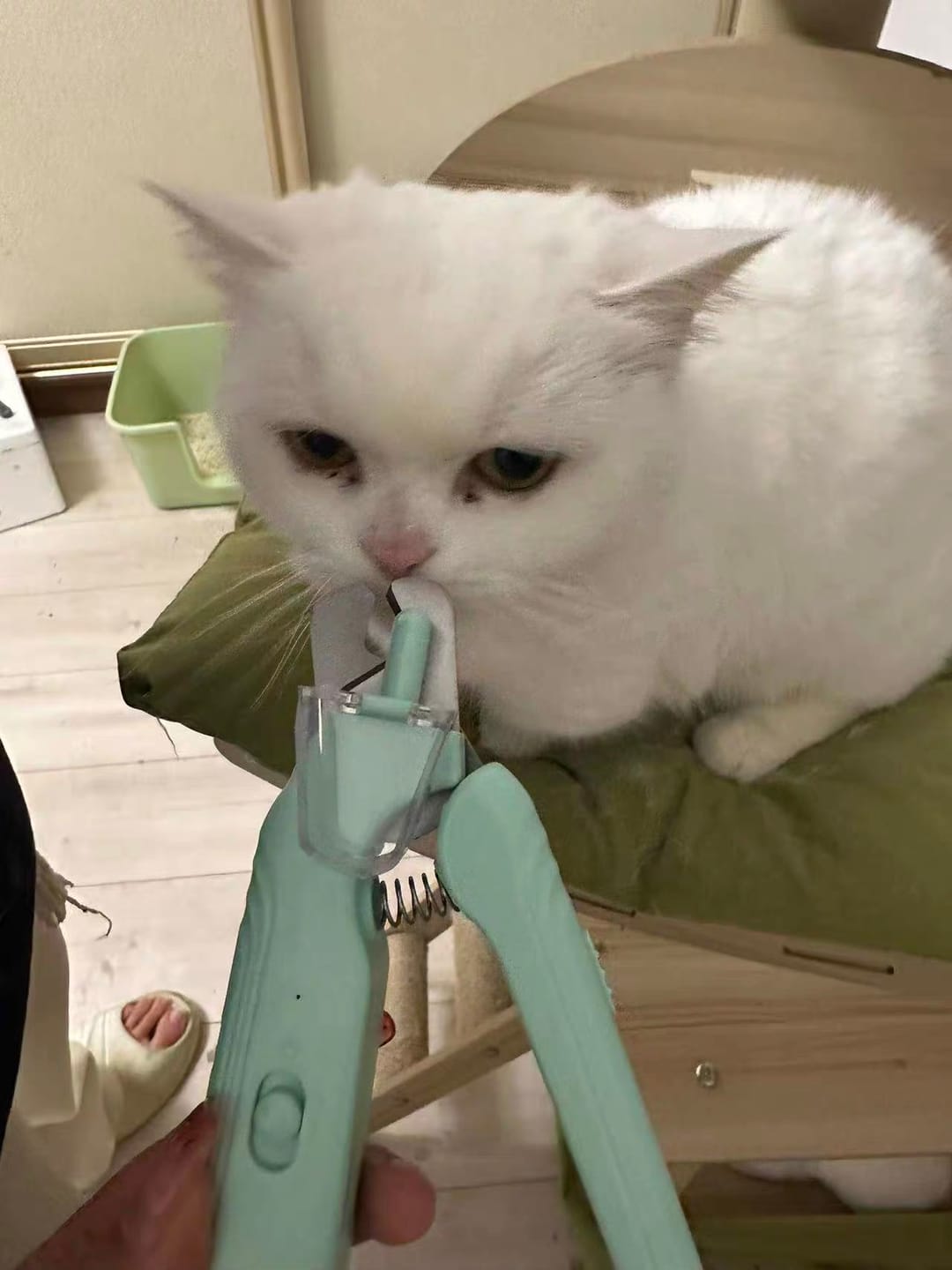Customer photo review of 2-in-1 LED Pet Nail Trimmer