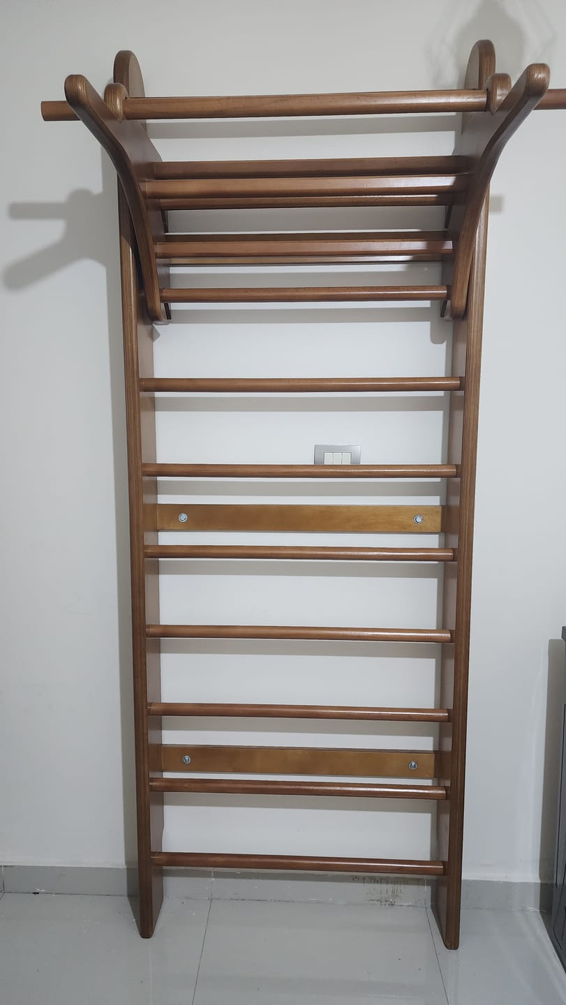 Customer photo review of Swedish Ladder Desk Add-On