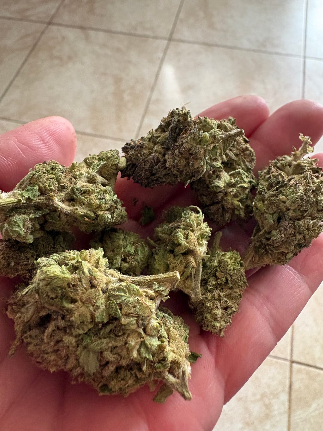 Customer photo review of Hashburger - 28 Grams - Indica